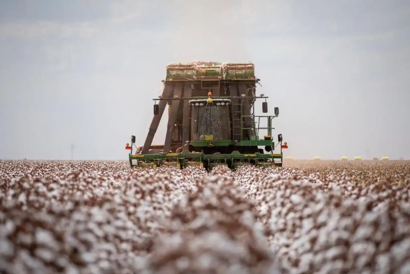 Imagem: divulgação