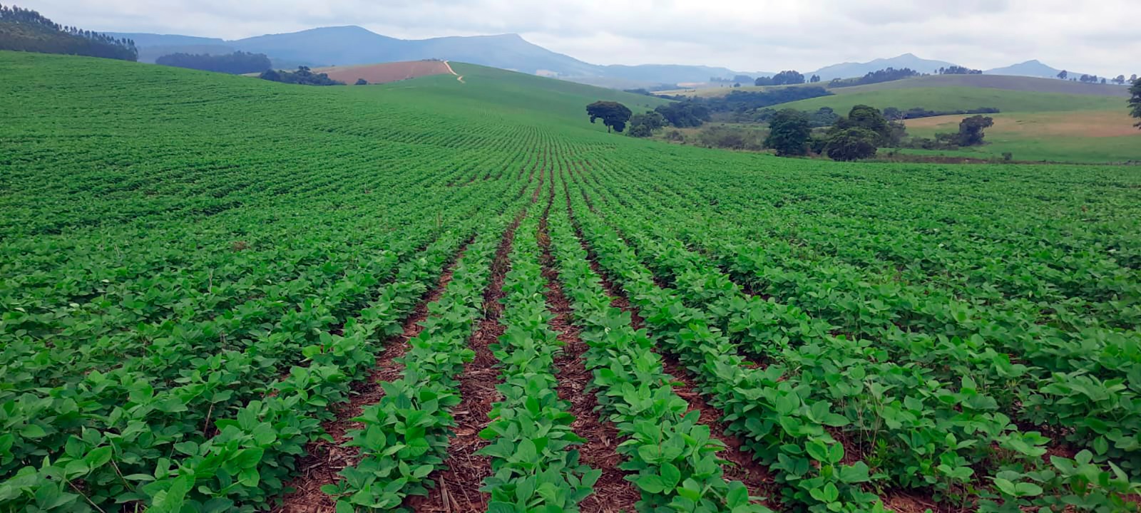 Imagem: divulgação