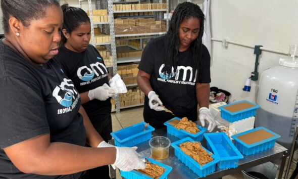 Ecofábrica da Mangueira evita poluição de 69 milhões de litros de água e distribui produtos ecológicos gratuitos à comunidade