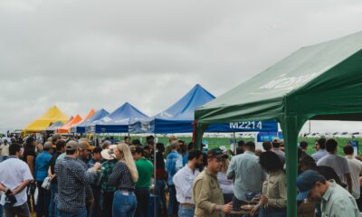 Imagem: divulgação