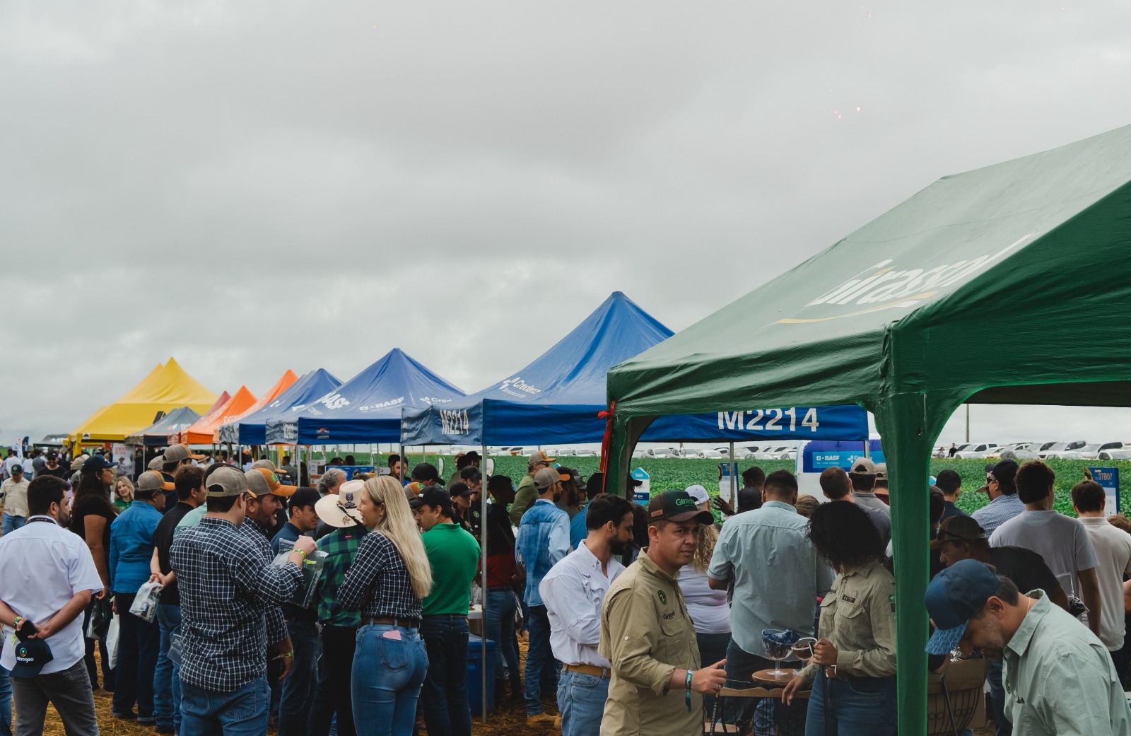 Imagem: divulgação