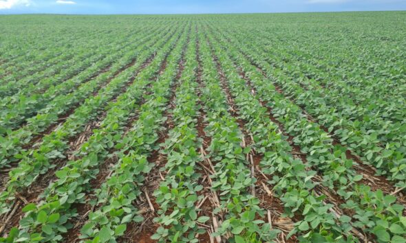 Imagem: divulgação